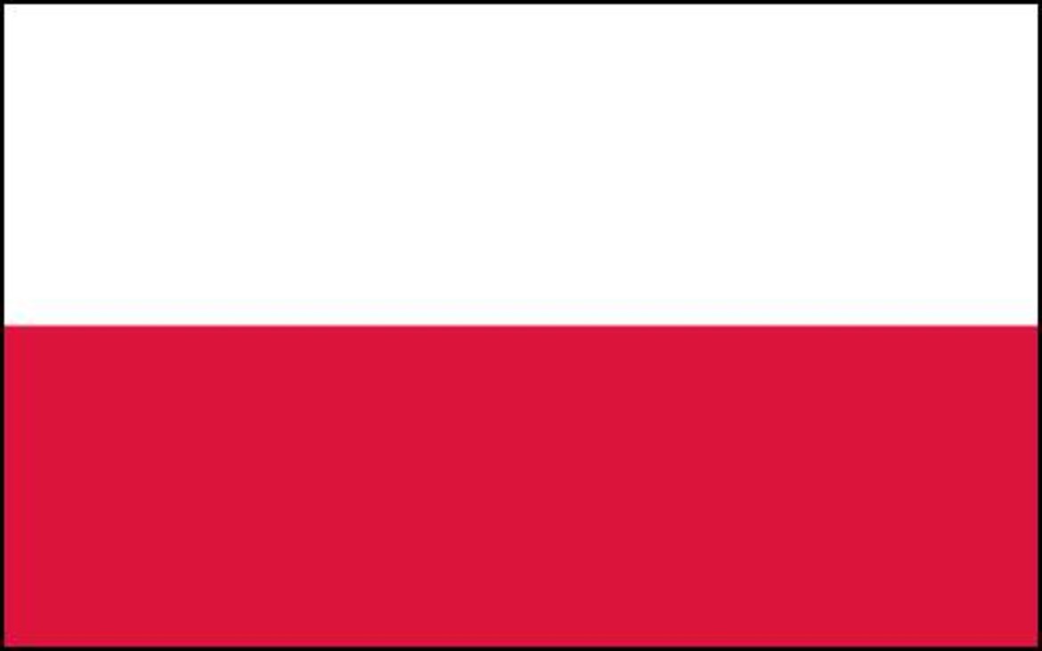 Flaga Polski, z białym górnym pasem i czerwonym dolnym.