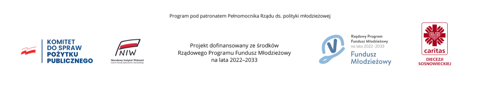 Logotypy różnych instytucji i programów wspierających młodzież w Polsce.