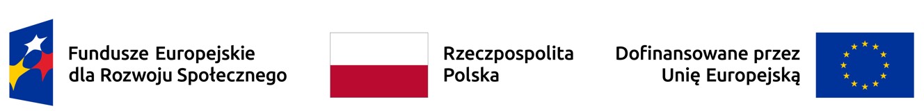 Logo Funduszy Europejskich z&nbsp;informacją o&nbsp;dofinansowaniu dla Polski przez Unię Europejską.