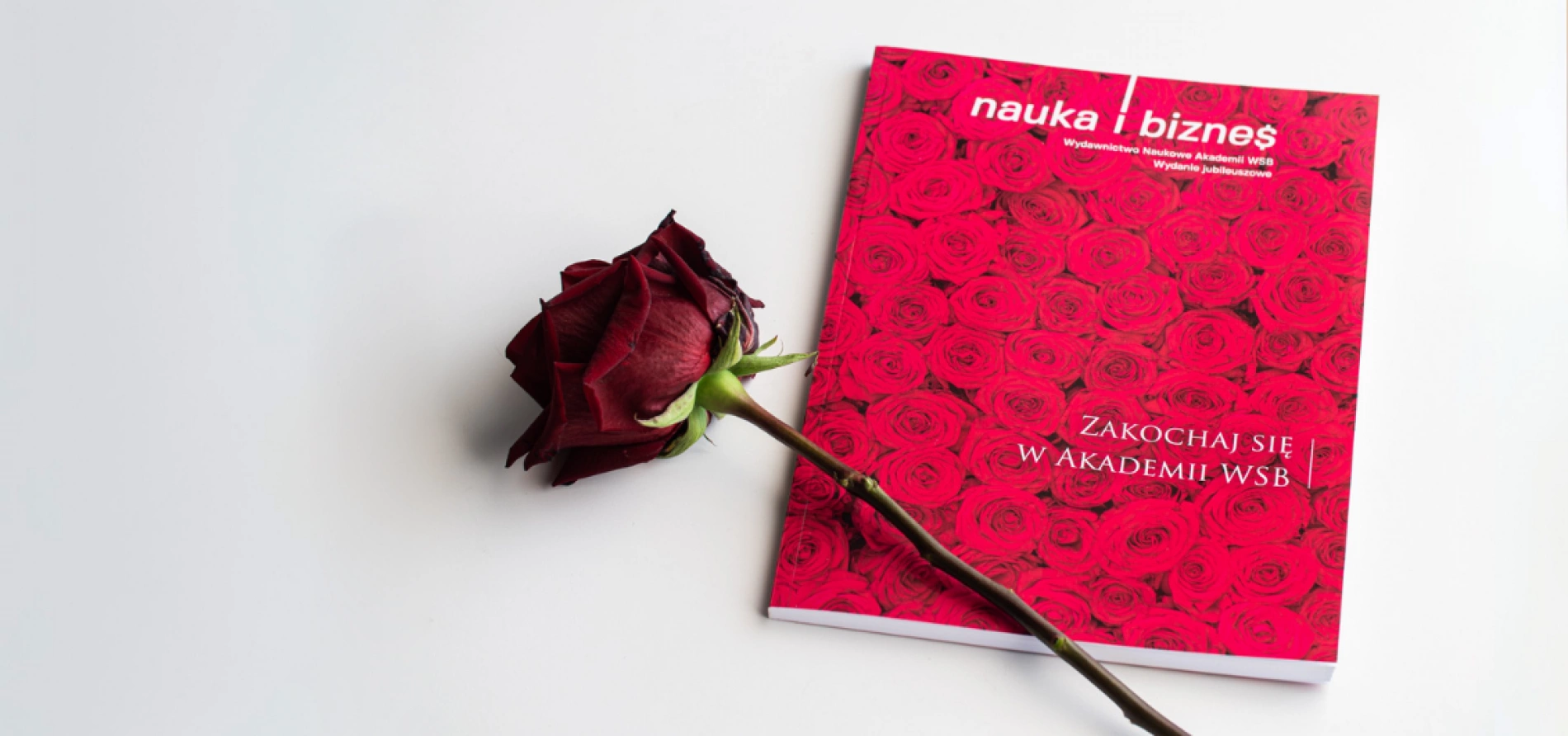 tło: Nauka i Biznes