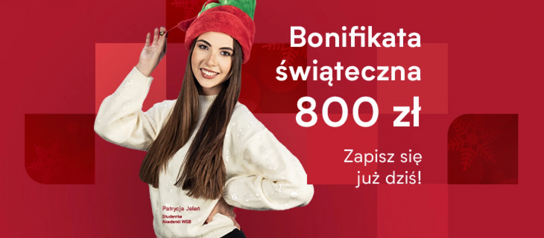tło: baner - BONIFIKATA ŚWIĄTECZNA 800