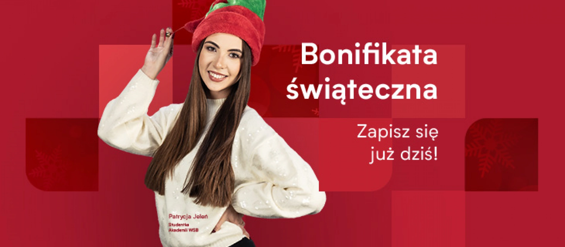 tło: baner - BONIFIKATA ŚWIĄTECZNA bez ceny