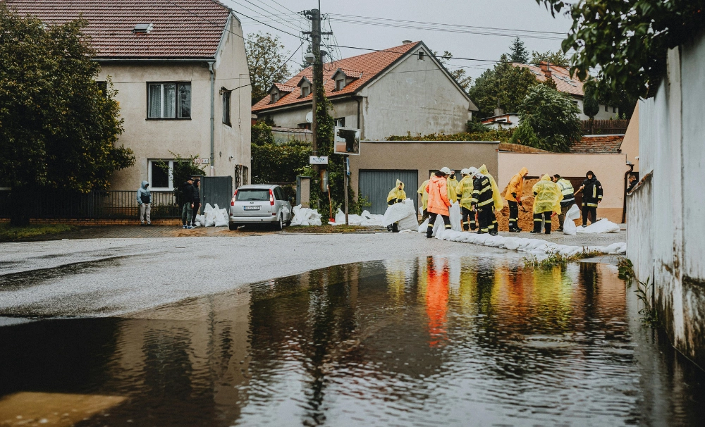ZARZĄDZANIE W SYTUACJACH KRYZYSOWYCH | KATOWICE