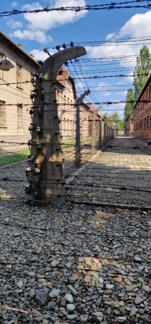 Zdjęcie nr 26 z galerii V Rowerowy Hołd Pamięci – Tarnów–Oświęcim 2025