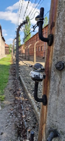 Zdjęcie nr 3 z galerii V Rowerowy Hołd Pamięci – Tarnów–Oświęcim 2025