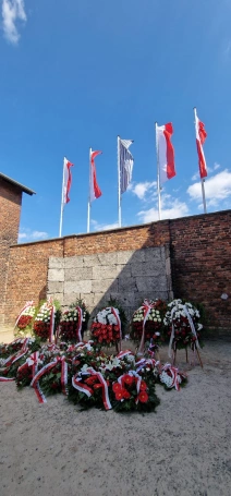 Zdjęcie nr 5 z galerii V Rowerowy Hołd Pamięci – Tarnów–Oświęcim 2025