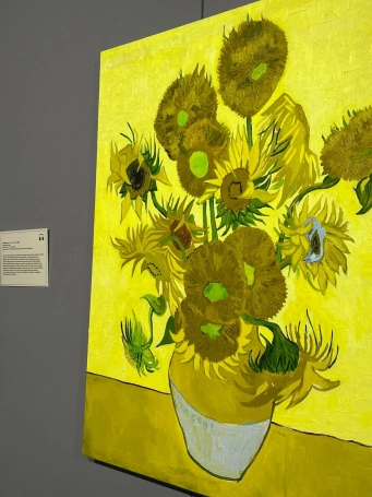 Zdjęcie nr 11 z galerii Galeria wycieczka Kraków Van Gogh