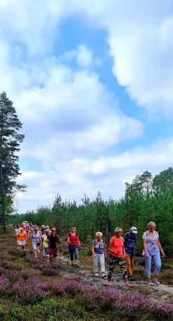 Zdjęcie nr 3 z galerii Galeria Wycieczka - Pustynia Błędowska 