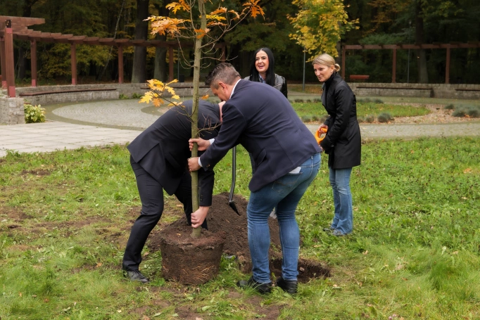 Zdjęcie nr 7 z galerii Sadzenie Dębu w Dąbrowie Górnicze