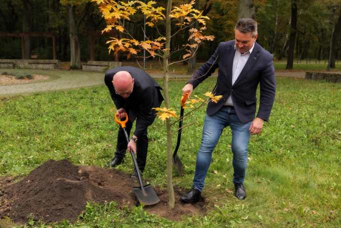 Zdjęcie nr 11 z galerii Sadzenie Dębu w Dąbrowie Górnicze