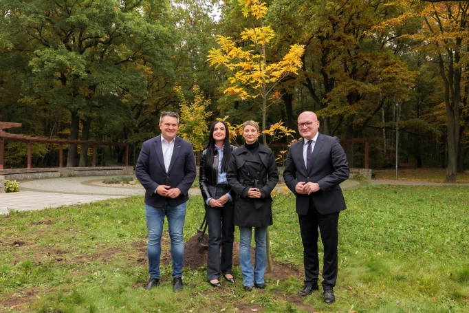 Zdjęcie nr 1 z galerii Sadzenie Dębu w Dąbrowie Górnicze