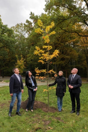 Zdjęcie nr 12 z galerii Sadzenie Dębu w Dąbrowie Górnicze