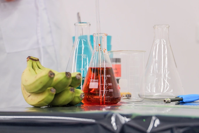 Zdjęcie nr 14 z galerii Dzień Otwarty UDJ