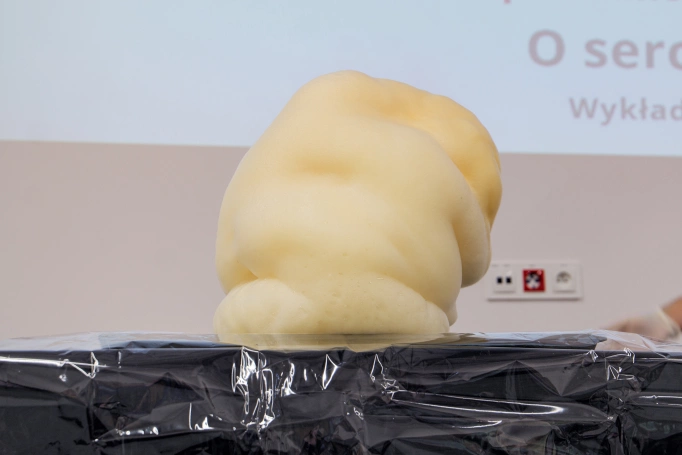 Zdjęcie nr 49 z galerii Dzień Otwarty UDJ