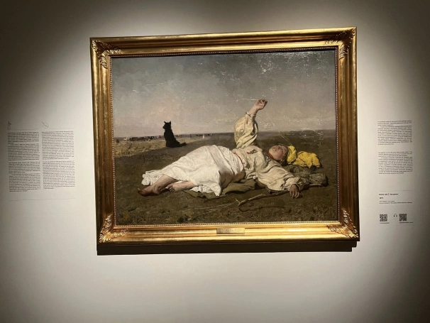 Zdjęcie nr 23 z galerii Kraków 5.11.2025 