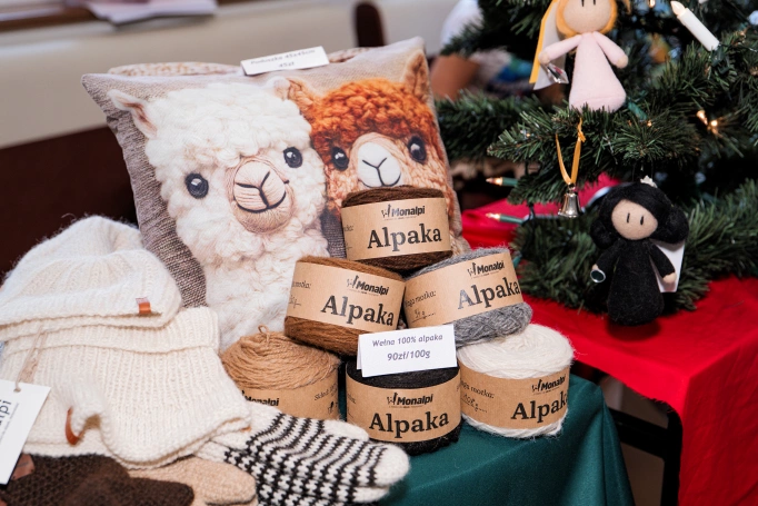 Zdjęcie nr 37 z galerii Gdy marzenia zderzają się z rzeczywistością – "IV Interdyscyplinarna Konferencja Naukowa" 