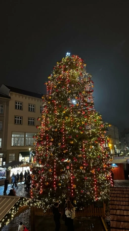 Zdjęcie nr 3 z galerii Ołomuniec 11.12.2025