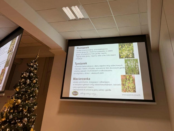 Zdjęcie nr 5 z galerii MEDIACJA I MOC ZI&Oacute;Ł