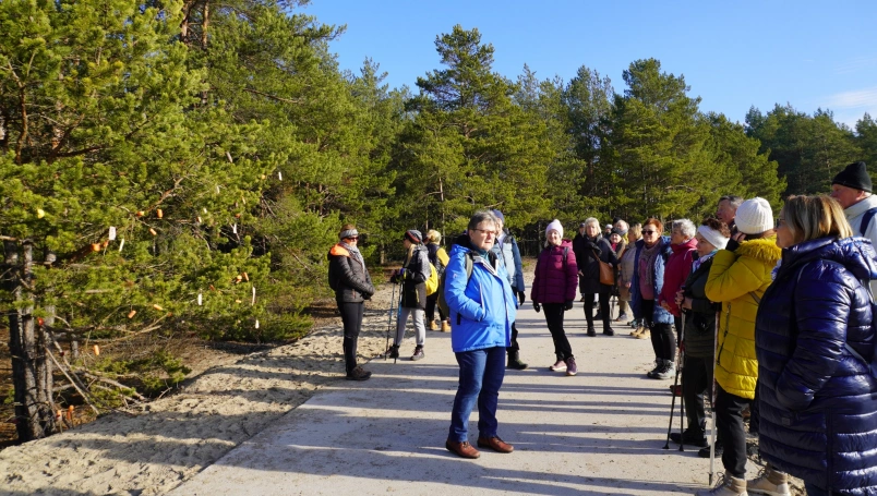 Zdjęcie nr 8 z galerii Przedświąteczne spotkanie z naturą &ndash; Słuchacze UTW na Pustyni Błędowskiej