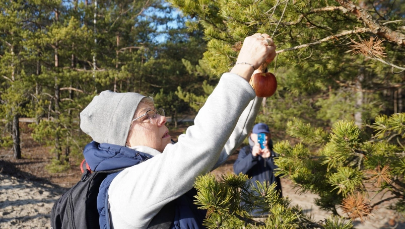 Zdjęcie nr 15 z galerii Przedświąteczne spotkanie z naturą &ndash; Słuchacze UTW na Pustyni Błędowskiej