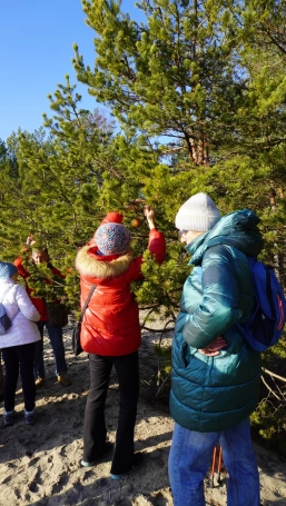 Zdjęcie nr 26 z galerii Przedświąteczne spotkanie z naturą &ndash; Słuchacze UTW na Pustyni Błędowskiej