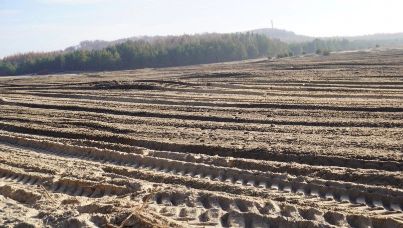 Zdjęcie nr 20 z galerii Przedświąteczne spotkanie z naturą &ndash; Słuchacze UTW na Pustyni Błędowskiej