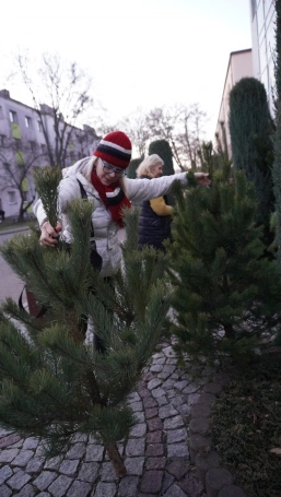 Zdjęcie nr 29 z galerii Przedświąteczne spotkanie z naturą &ndash; Słuchacze UTW na Pustyni Błędowskiej