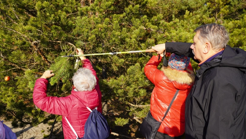 Zdjęcie nr 14 z galerii Przedświąteczne spotkanie z naturą &ndash; Słuchacze UTW na Pustyni Błędowskiej