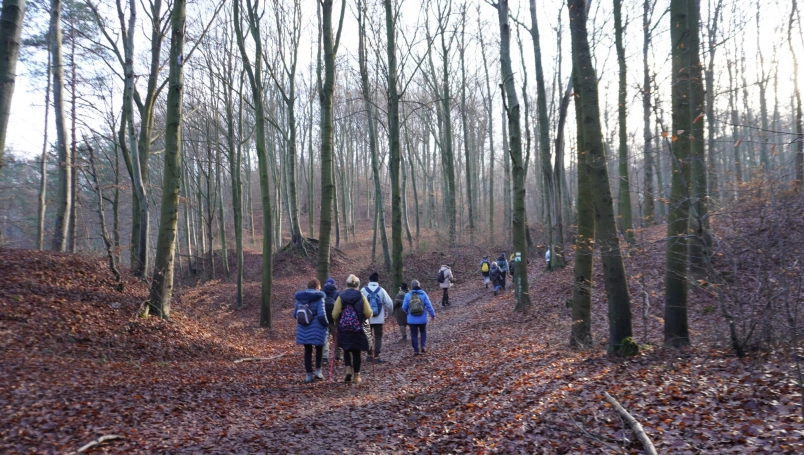 Zdjęcie nr 19 z galerii Przedświąteczne spotkanie z naturą &ndash; Słuchacze UTW na Pustyni Błędowskiej
