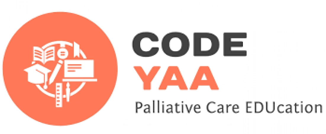 Zdjęcie nr 1 z galerii Akademia WSB wsp&oacute;łtworzy narzędzie CODE-YAA@PC-EDU &ndash; spotkanie CA22127 w Helsinkach