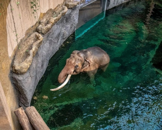 Zdjęcie nr 1 z galerii Ł&Oacute;DŹ POST