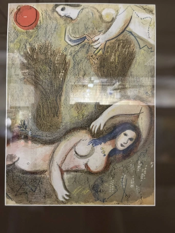 Zdjęcie nr 8 z galerii tychy