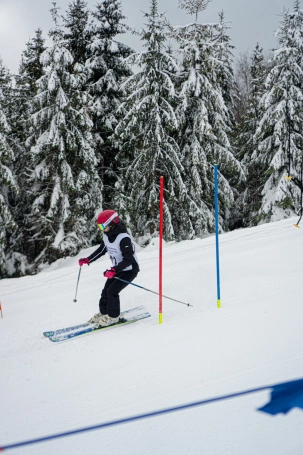 Zdjęcie nr 4 z galerii deska