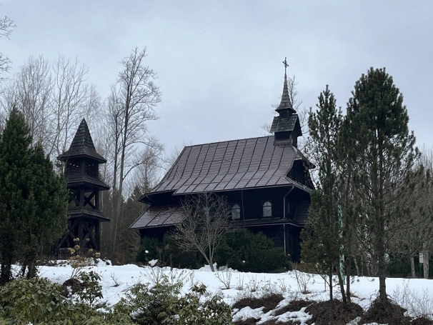 Zdjęcie nr 21 z galerii Kulig 29.01.2026