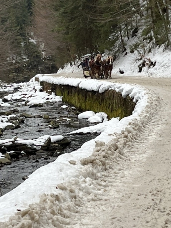 Zdjęcie nr 33 z galerii Kulig 29.01.2026