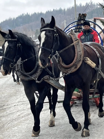 Zdjęcie nr 2 z galerii Kulig 29.01.2026