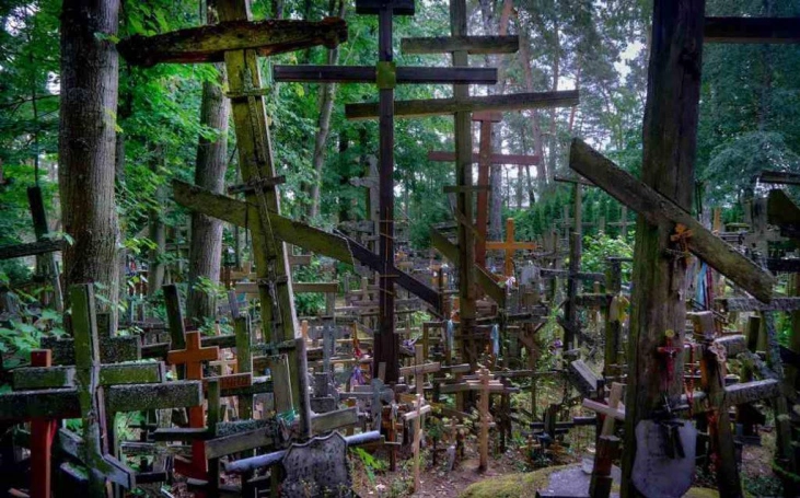 Zdjęcie nr 9 z galerii Żywiec post