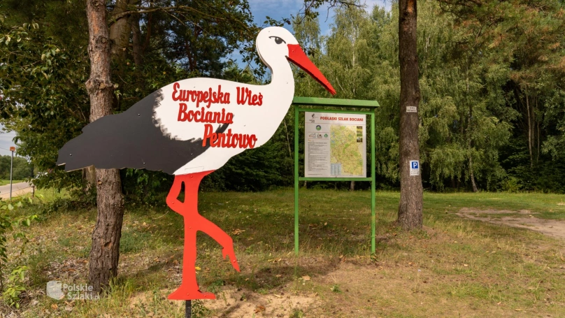 Zdjęcie nr 2 z galerii Żywiec post