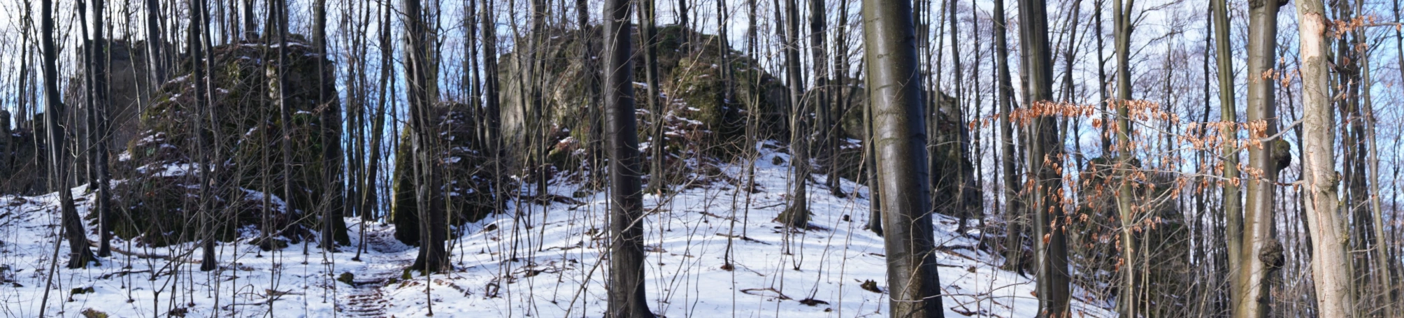 Zdjęcie nr 21 z galerii jura 12.02