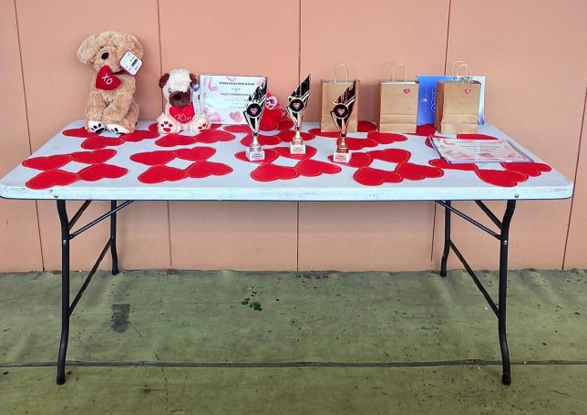 Zdjęcie nr 2 z galerii boule