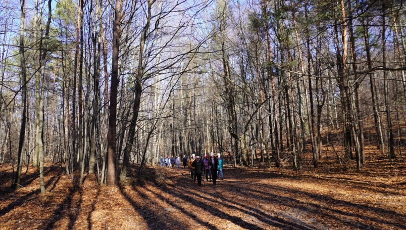 Zdjęcie nr 3 z galerii PRZEDWIOŚNIE na Jurze Krakowsko-Częstochowskiej!