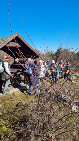 Zdjęcie nr 14 z galerii PRZEDWIOŚNIE na Jurze Krakowsko-Częstochowskiej!