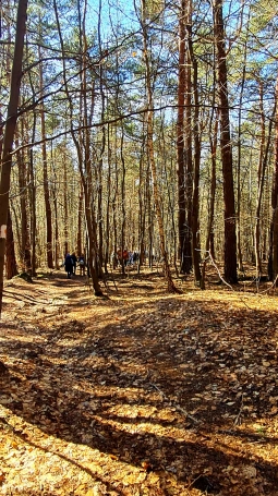 Zdjęcie nr 20 z galerii PRZEDWIOŚNIE na Jurze Krakowsko-Częstochowskiej!