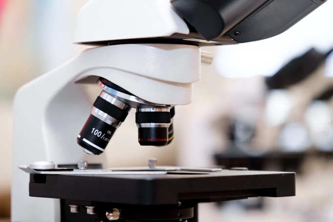 Zdjęcie nr 36 z galerii Long-Cycle Master's Degree in Medicine