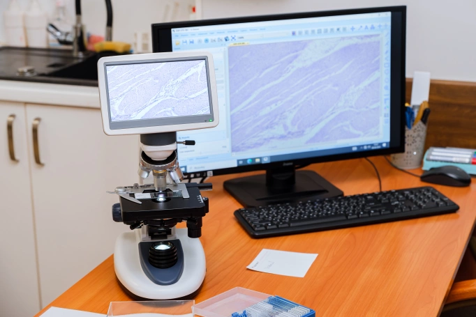 Zdjęcie nr 37 z galerii Long-Cycle Master's Degree in Medicine