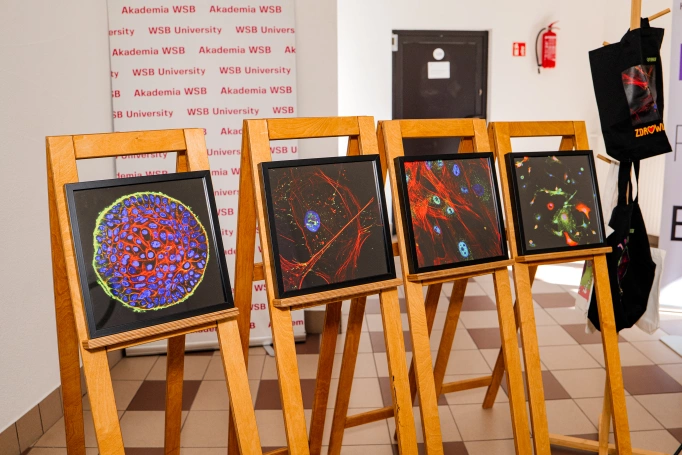 Zdjęcie nr 48 z galerii Konferencja Onko-wsparcie