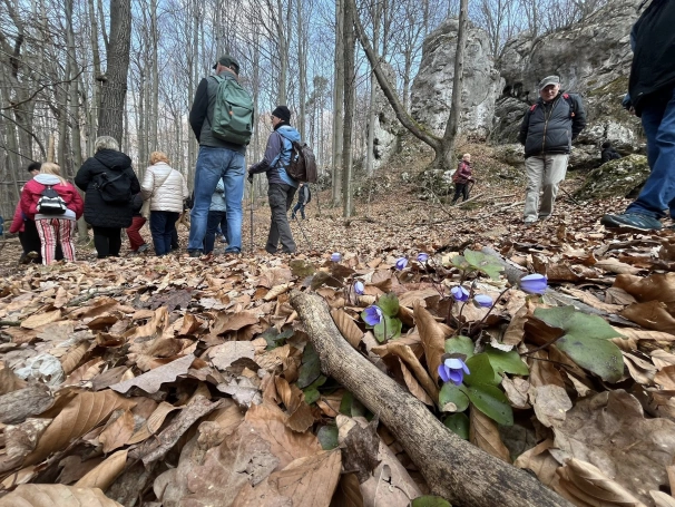 Zdjęcie nr 8 z galerii Marzanna 2026