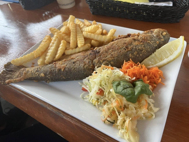 Zdjęcie nr 20 z galerii Marzanna 2026