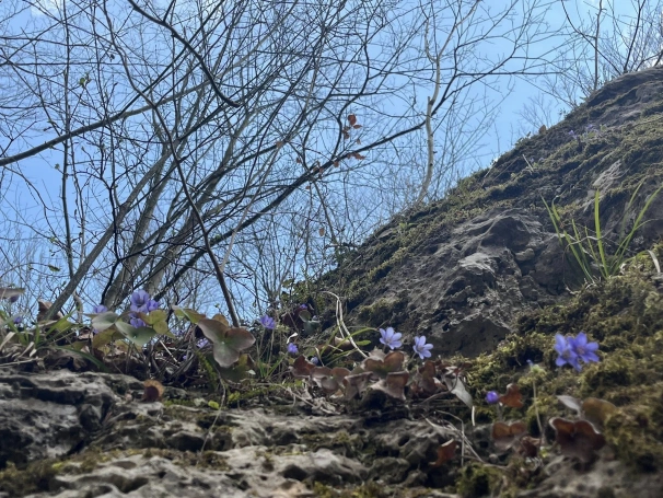 Zdjęcie nr 15 z galerii Marzanna 2026