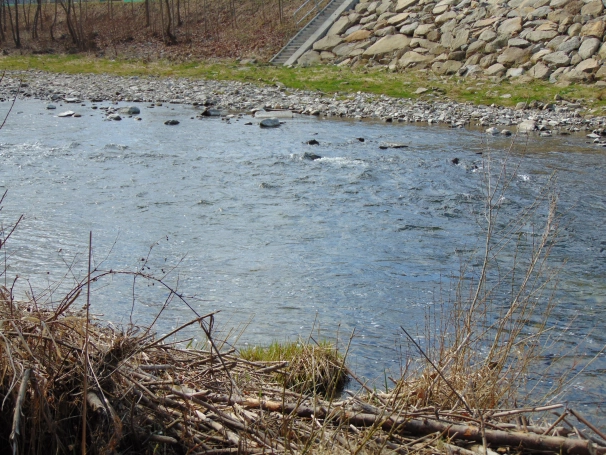Zdjęcie nr 33 z galerii O wodzie, lesie i odpowiedzialności &ndash; ekologiczne warsztaty terenowe w Żywcu